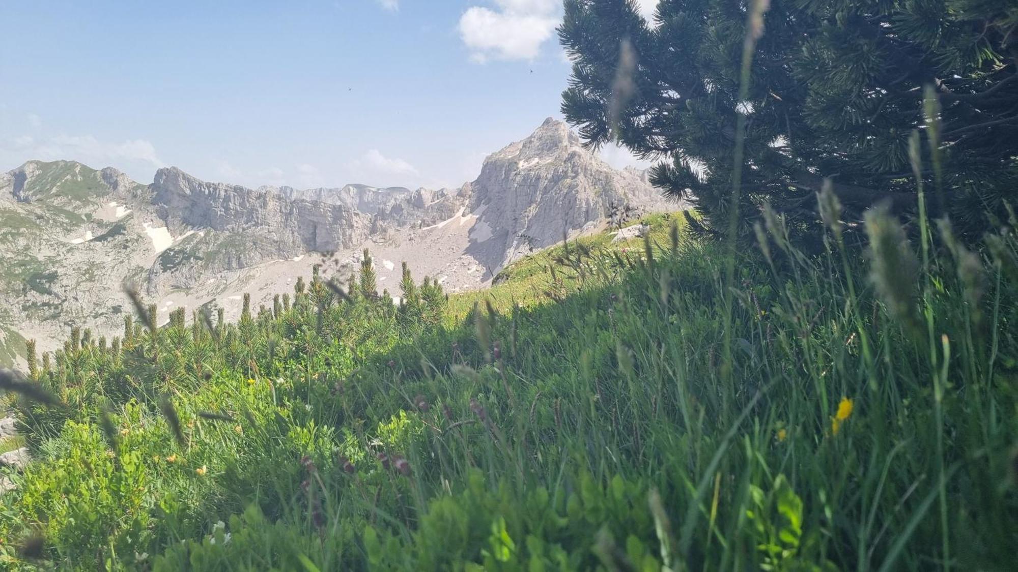 Durmitor Glamp Žabljak Exterior foto